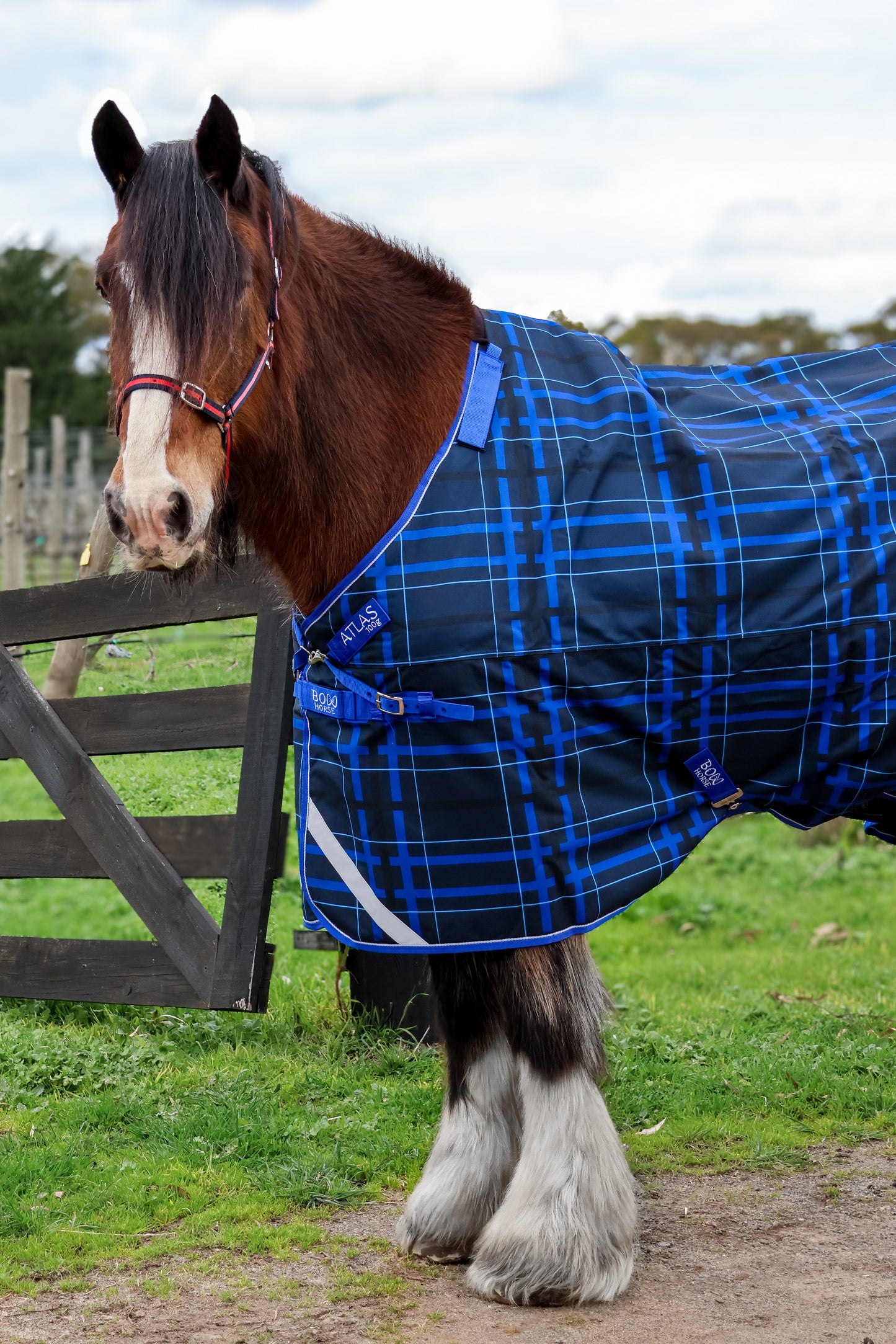 Omik Turnout with Detachable Neck Cover - Extra Wide Sizing