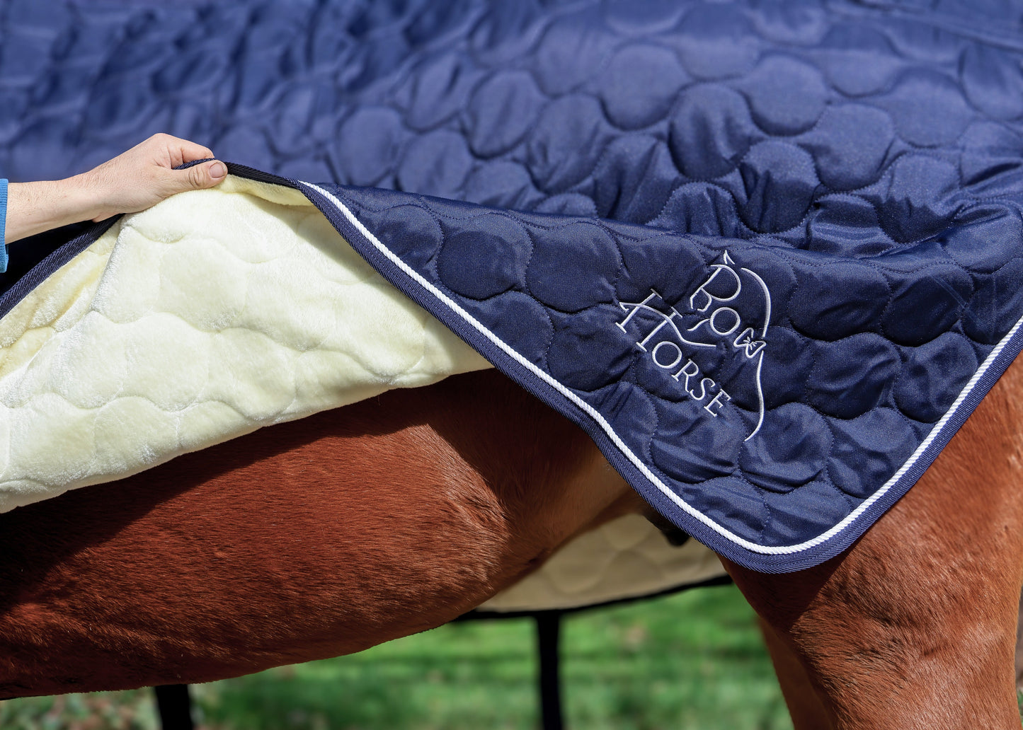 Winter Show Blanket