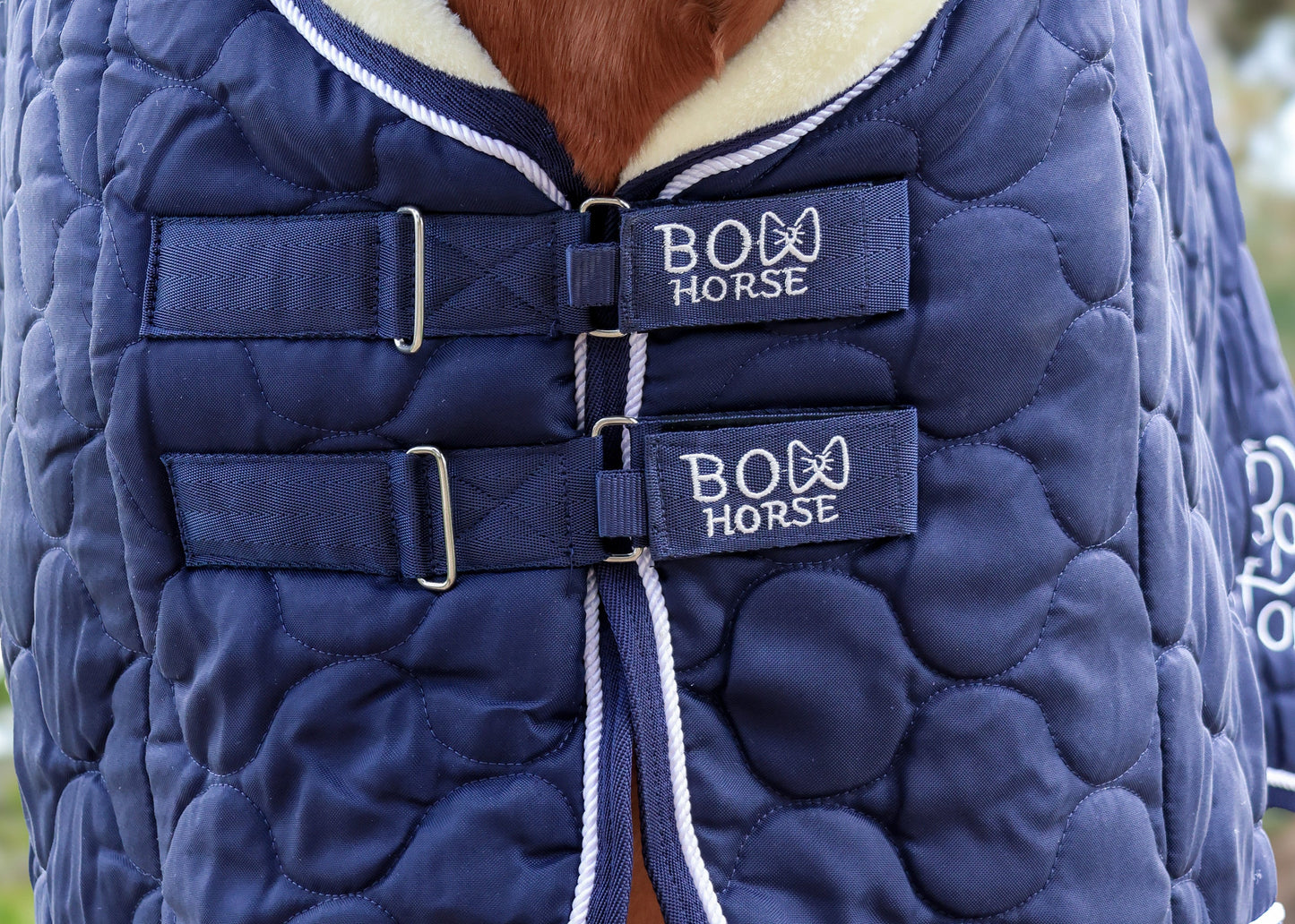 Winter Show Blanket
