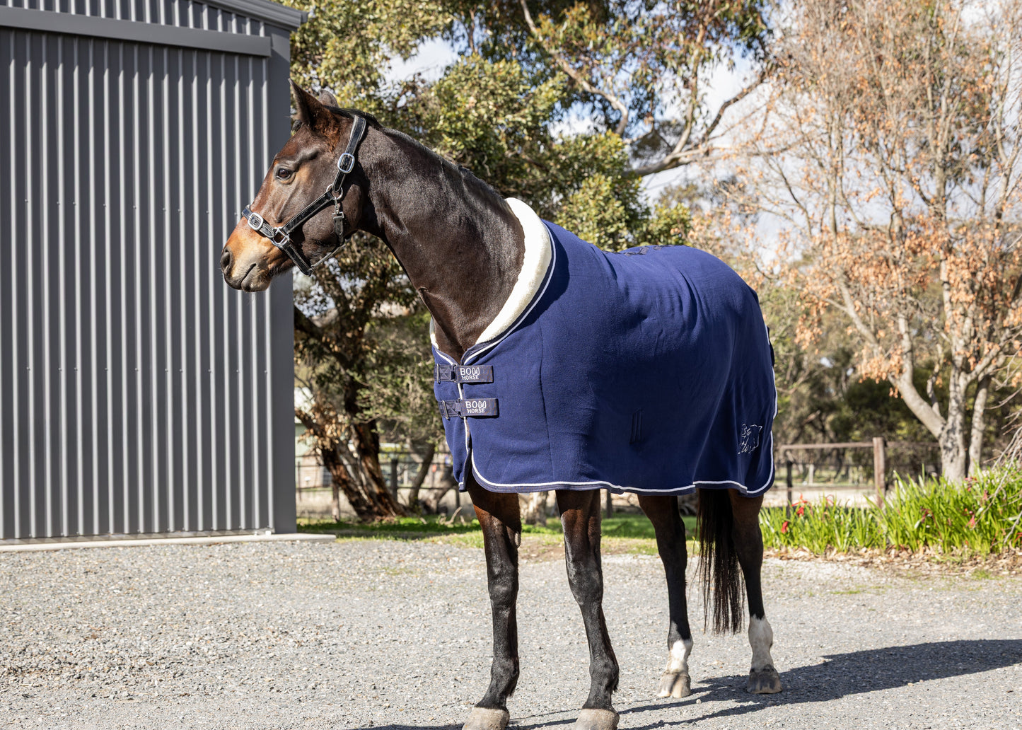 Fleece Show Blanket