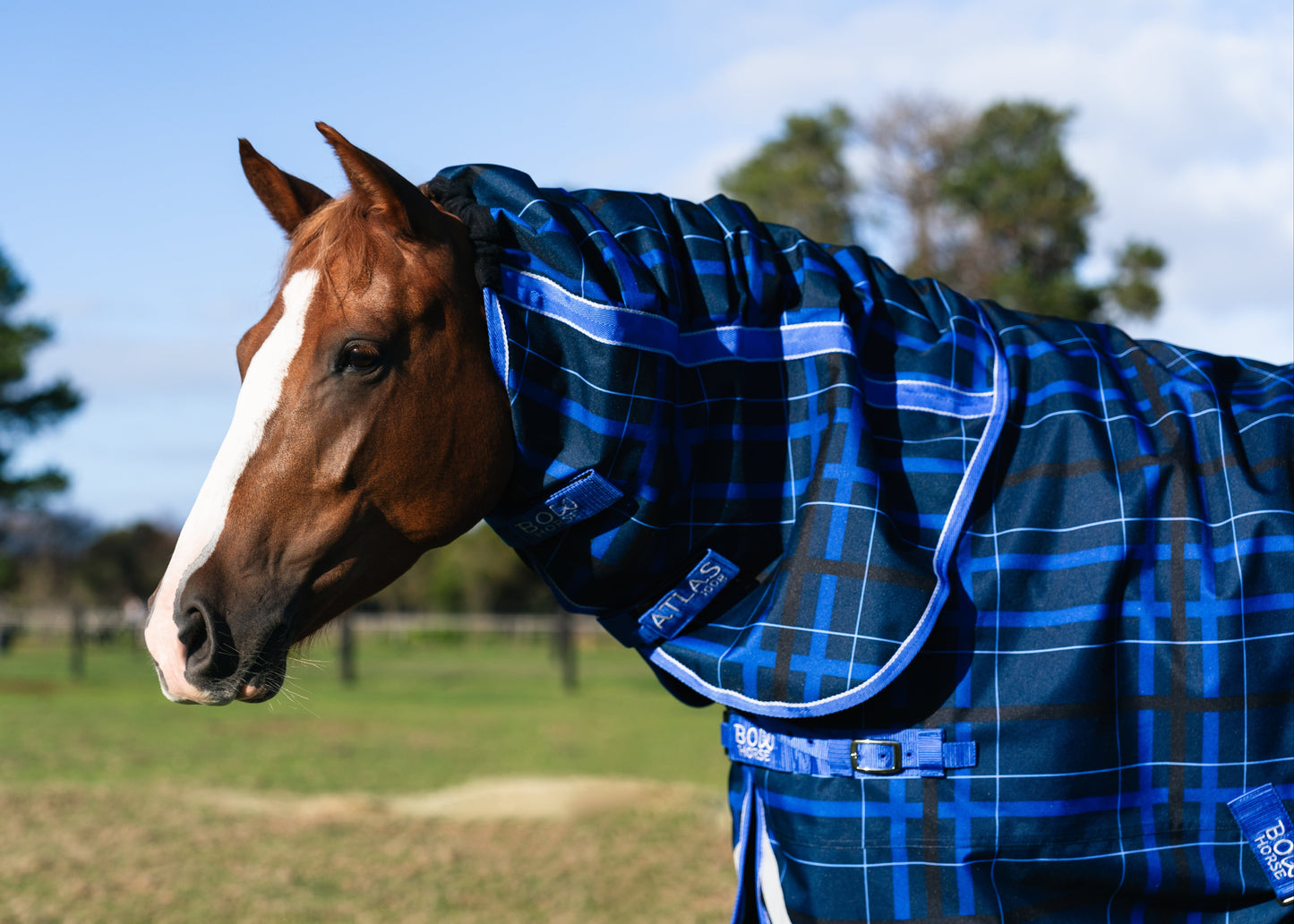 Omik Neck Cover