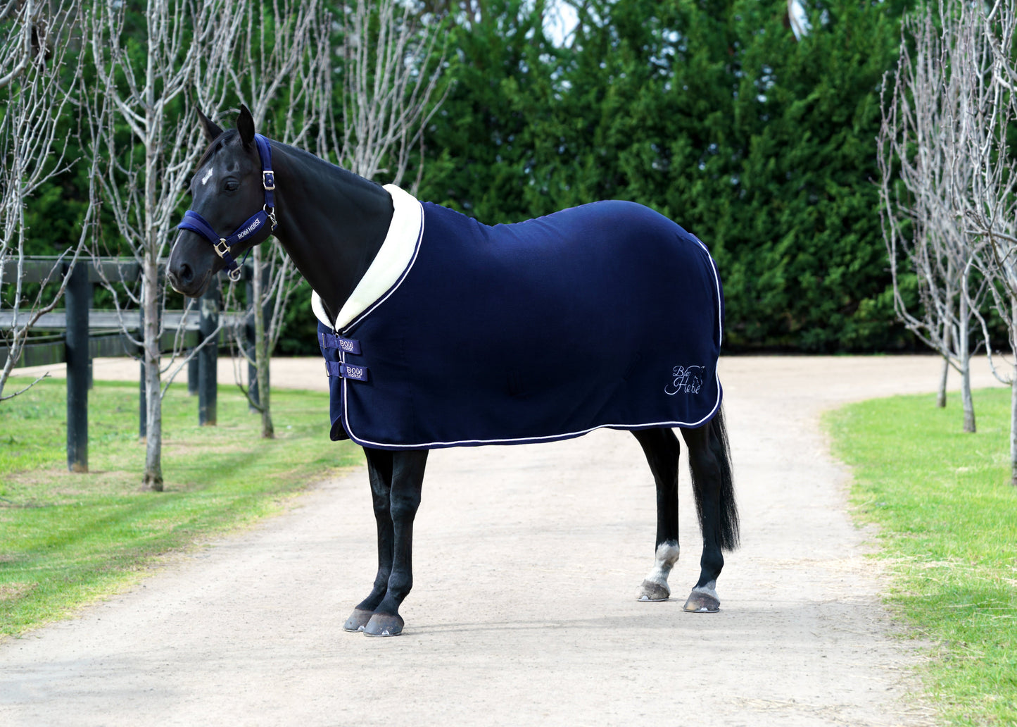 Fleece Show Blanket