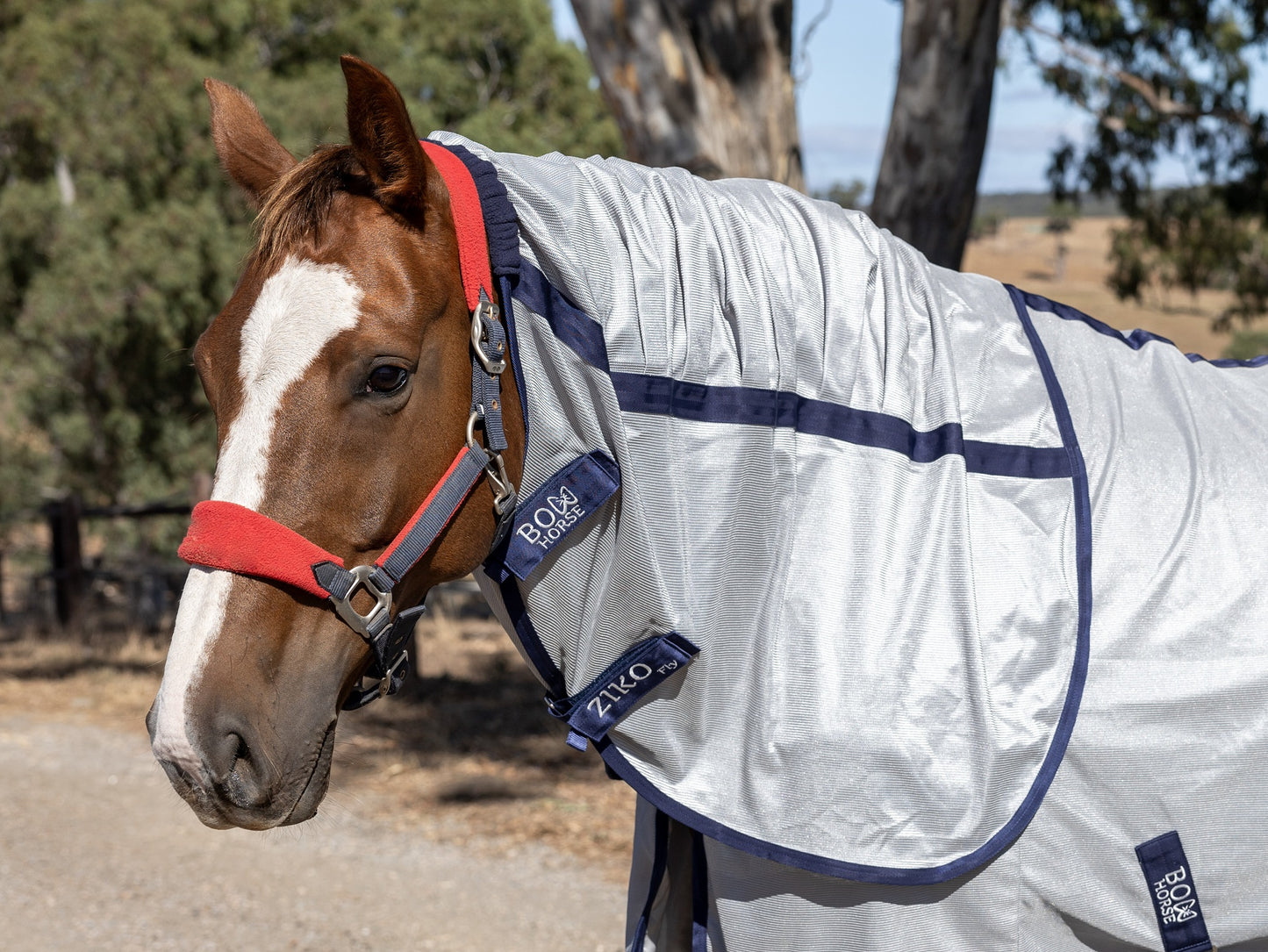 ziko fly sheet - horse sheet for summer