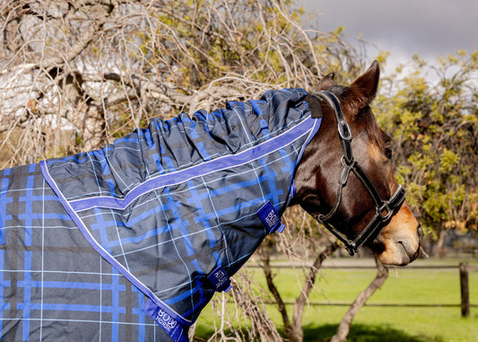 Horse wearing a blue and gray checkered rug in an outdoor setting with trees and grass.