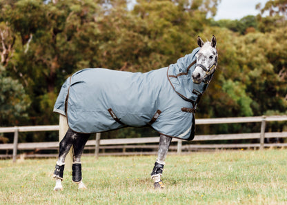 Winter turnout rugs