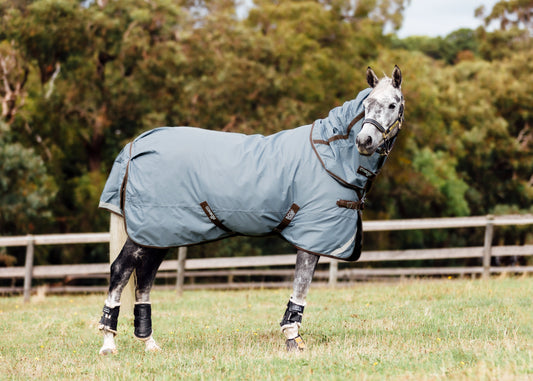 Winter turnout rugs