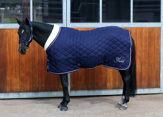 Winter Show Blanket