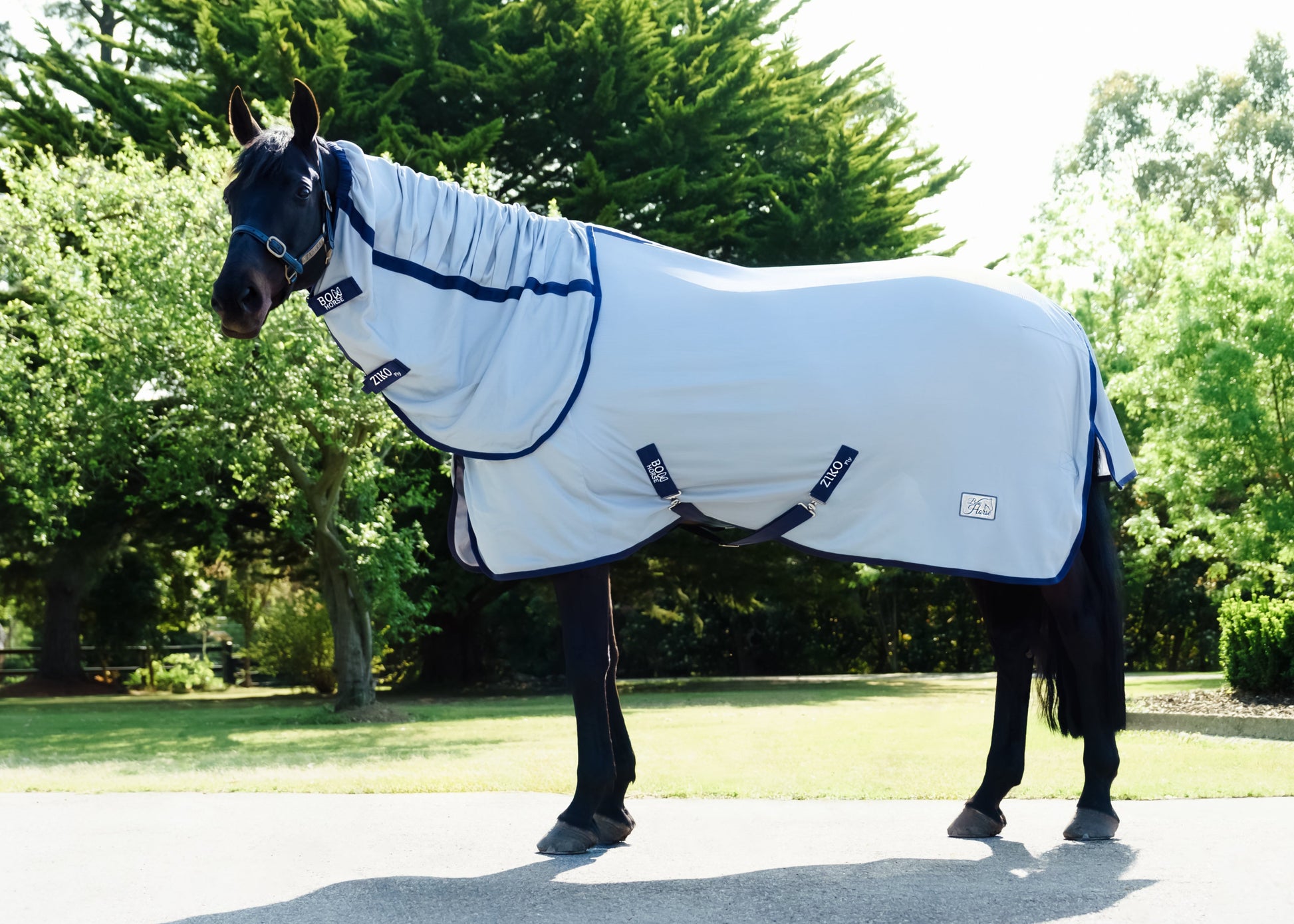 Focket Moustiquaire pour cheval, protection ventrale en maille réglable Focket Moustiquaire pour cheval, protection ventrale en maille réglable