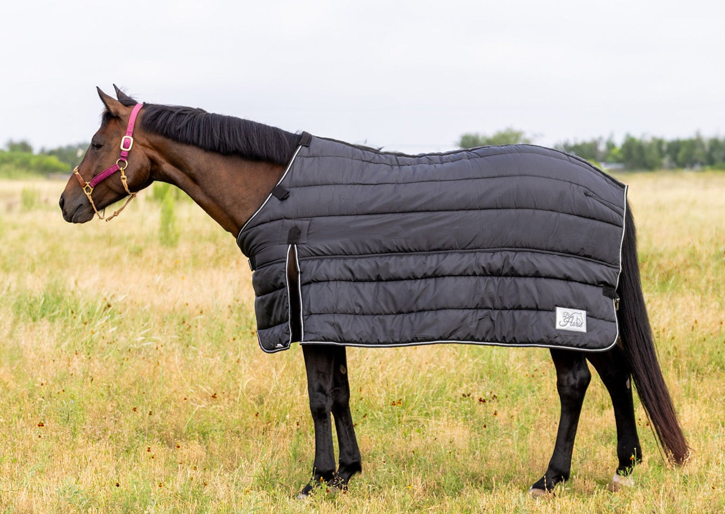 250g horse liner for winter horse blanket
