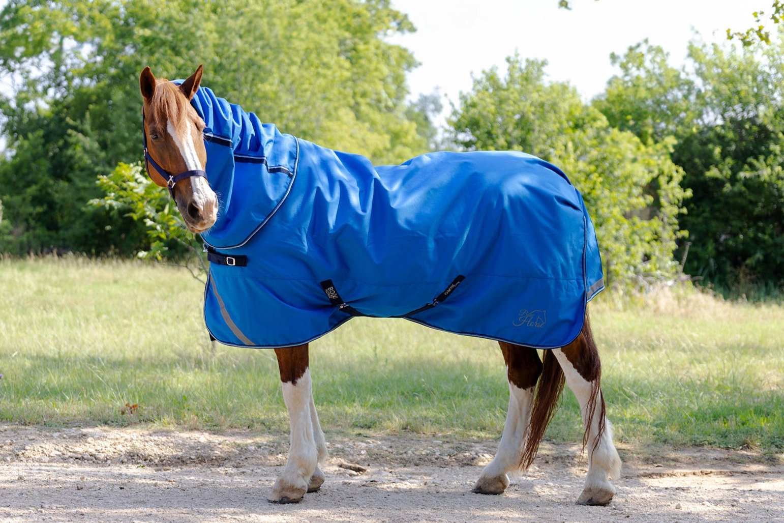 what can you give a horse to calm it down