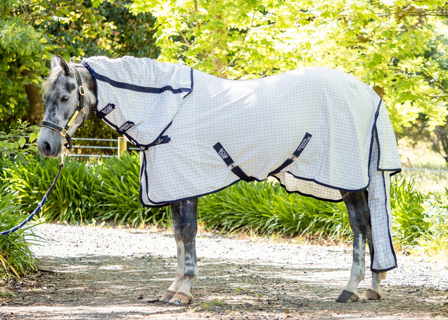 Ziko Summer Sheet
