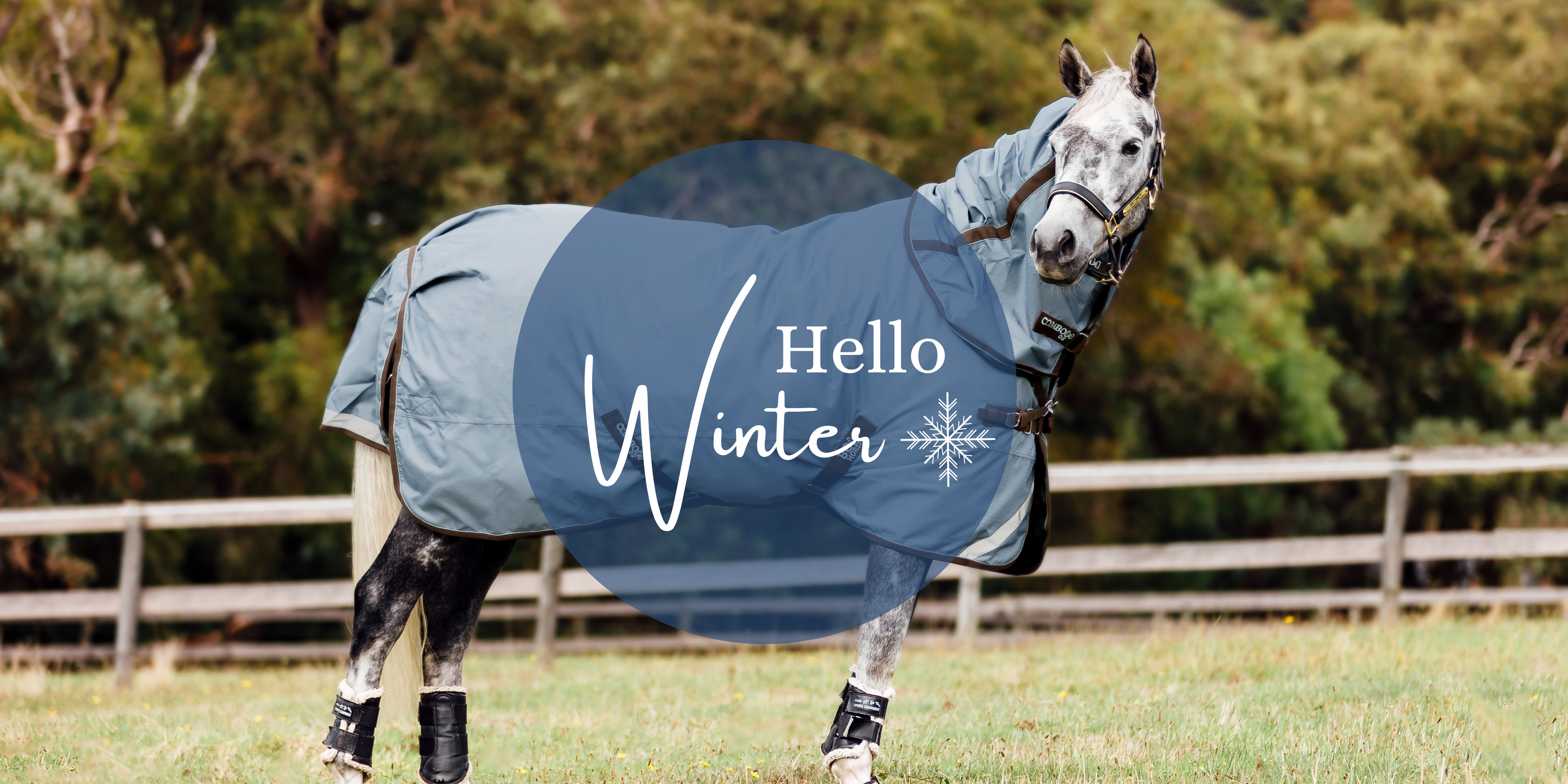 bow horse winter banner