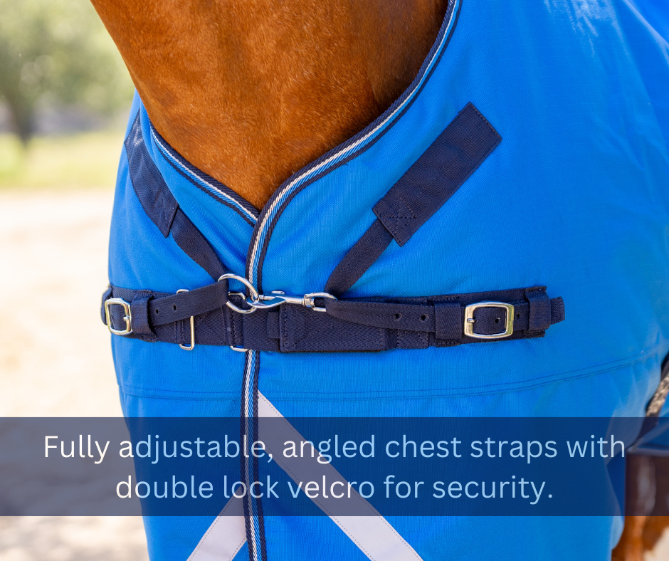 Omik™ turnout with neck cover (100g) Horse Blanket Bow Horse USA LLC